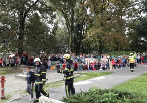 vajacz2019vido (22)